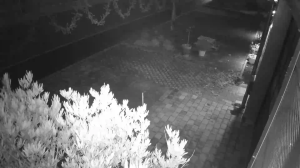 Caméra IP - Germany