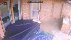 Caméra IP - United States of America