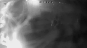 Caméra IP - Alemania