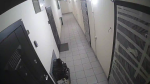 Caméra IP - Russische Föderation