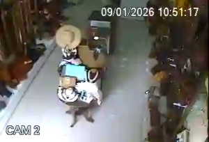 Caméra IP - Brésil