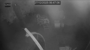 Caméra IP - Belgium