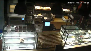 Caméra IP - Pologne