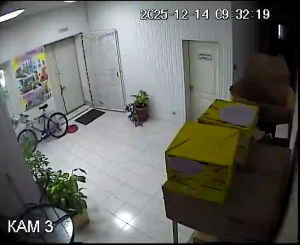 Caméra IP - Russian Federation