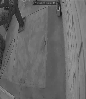 Caméra IP - Espagne