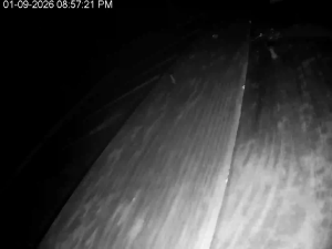 Caméra IP - États-Unis d'Amérique