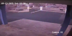 Caméra IP - Púertó Ríkó