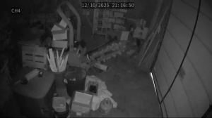 Caméra IP - États-Unis d'Amérique