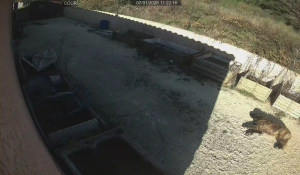 Caméra IP - Frankreich