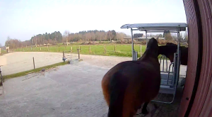 Caméra IP - Allemagne