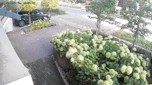 Caméra IP - Netherlands