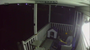 Caméra IP - Estados Unidos