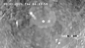 Caméra IP - Australie