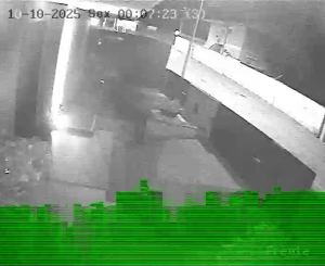 Caméra IP - Portugal