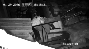 Caméra IP - People's Republic of China