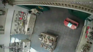 Caméra IP - United States of America