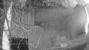 Caméra IP - Österrike