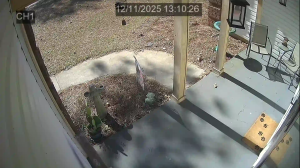 Caméra IP - Estados Unidos