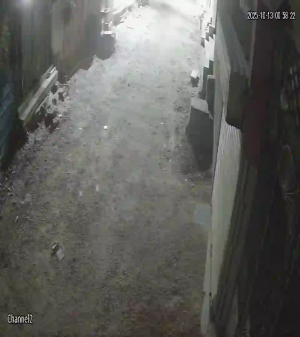 Caméra IP - Egypt