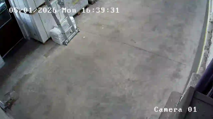 Caméra IP - Argentina