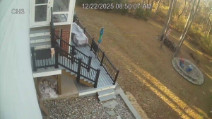 Caméra IP - Stati Uniti d'America