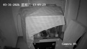 Caméra IP - Malaysia