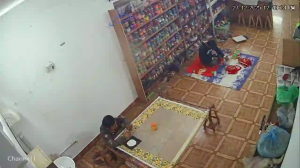 Caméra IP - Bangladesh