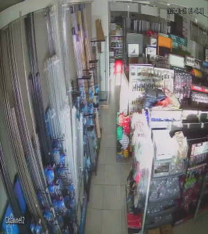 Caméra IP - South Africa