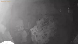 Caméra IP - Russian Federation