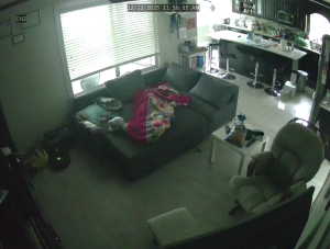 Caméra IP - Canadá