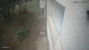 Caméra IP - Bulgaria