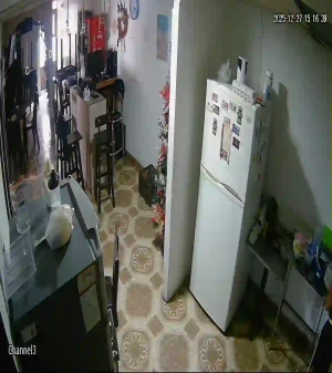 Caméra IP - Colombia