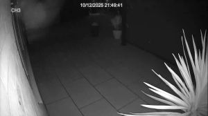 Caméra IP - Royaume-Uni