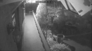 Caméra IP - Corée du Sud