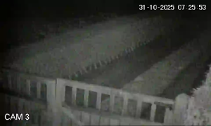 Caméra IP - Belgien