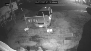 Caméra IP - Estados Unidos