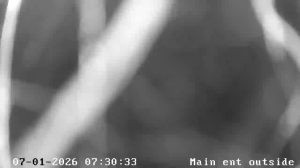 Caméra IP - Irlande