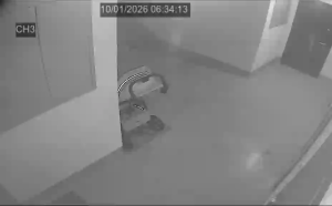 Caméra IP - Russische Föderation