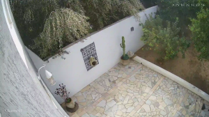 Caméra IP - Tunisie