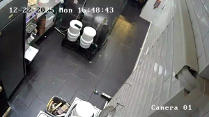 Caméra IP - Dinamarca