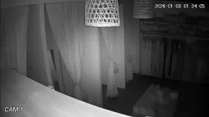 Caméra IP - Argentine