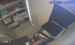 Caméra IP - España