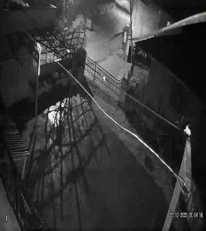 Caméra IP - Türkei