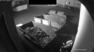 Caméra IP - Germany