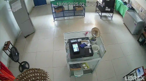 Caméra IP - Panama