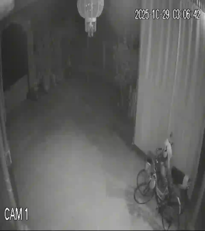 Caméra IP - Vietnam