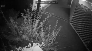 Caméra IP - Corée du Sud