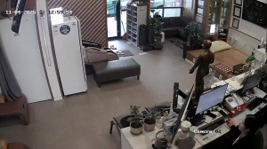 Caméra IP - Südkorea