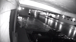 Caméra IP - États-Unis d'Amérique