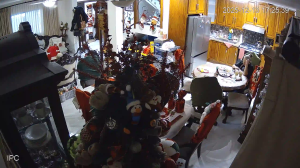 Caméra IP - Mexique